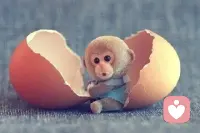 理想没什么好炫耀的，在实现之前，不过是个欲望。