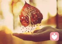 得不到的事物别惦记，负能量的事物要远离，人生本就不差风雨，就别再为己徒增伤悲。 ​