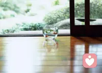 該奮起直追時(shí)，就全力以赴；該養(yǎng)精蓄銳時(shí)，就從容休養(yǎng)。流流汗，休息時(shí)更加愜意；歇歇腳，再出發(fā)精神百倍。早安！