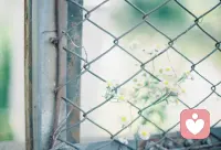 時光知味，歲月沉香。早安。