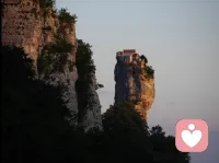 爱，会让你变得更加快乐；恨，会让你变得更加痛苦。真，会让你变得更加舒适；假，会让你变得更加疲惫。 ​