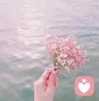 温柔两半，从容一生。