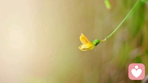 如何通过心理调整,实现自我重生?