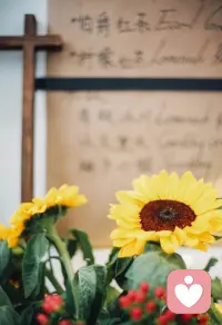 无论这个世界对你怎样，都请你一如既往的努力、勇敢、充满希望。配图