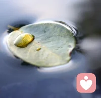 忍让，第一次叫气度，第二次是宽容，第三次就变成了软弱。 ​​​ ​​​​配图