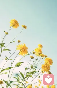 有可以为之努力的目标，是很幸福的一件事。早安。