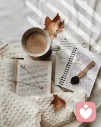 我想要的冬天是：有书，有你，有阳光。