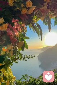 只要你肯等一等，生活的美好，总在你不经意的时候，盛装莅临。早安。