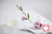 一花一草，一树一木， 只有保持着独立的绽放，才能展现生命的美好。 人生路上，一路捡拾，一路珍藏， 才能体会到生命的意蕴，才能感悟到时光的静好！配图