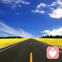 走好选择的路，别选择好走的路，你才能拥有真正的自己。早安。配图