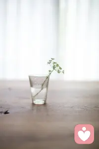 再好的，再艰难的，都过去了。今天，重组自己，从最基本开始调整。喝好一杯茶，吃好一顿饭，穿好一件衣服，睡好一觉，好好爱自己。早安。配图