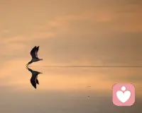 有一场青春叫高考，有一种梦想叫康健，高考加油，十年寒窗化作成功的脚印。 ​