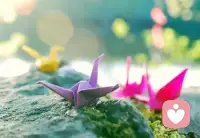 2026在所有人的期盼中到来了，相信不久的将来，你我会在此平台再次相遇，期待你的再次回访。