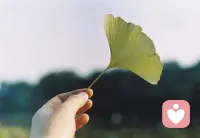 你永远无法叫醒一个装睡的人，你永远无法感动一个不爱你的人，不如顺其自然，随风飘荡。早安。