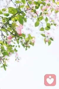 乐观积极，必定风生水起。早安~配图