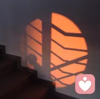 这大千世界的迷人之处，可能根本不是如愿以偿，而是阴差阳错。配图