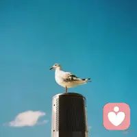 嗨，吿诉你，勇气用尽了，没关系，我们还有骨气，人生，加油！早安。配图