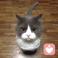 真的生气的时候 不是哭也不是闹 而是不说话配图