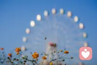 新的一天，新的出发，新的起点，愿所有的美好如期而至，愿所有的人生灿烂绚丽，愿所有的理想终将实现！携手共进，一起奔跑，未来会更美好！早安。配图