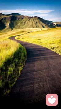 人生的幸福，一半要争，一半要随。争，不是与他人，而是与困苦。随，不是随波逐流，而是知止而后安。争，人生少遗憾；随，知足者常乐！早安。配图