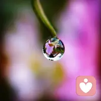 成长就是与这个世界讲和，接受自己的不完美，也接受别人的不完美。早安。