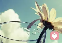 你对别人要求松一点，就不会总失望；你对自己要求严一点，就不会总沮丧。早安。配图