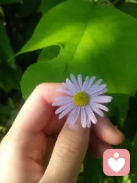 光鲜亮丽的背后，定是脚踏实地的付出。具备什么样的磁场，便驾驭什么样的财富。早安。配图