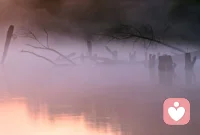喜欢一个人，就是在一起很开心；爱一个人，就是即使不开心，也想在一起。 ​配图