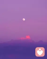 不要急着让生活给予你所有的答案，有时候，你要拿出耐心等等。配图