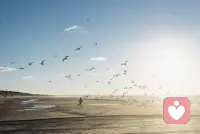 自学，是成功的动力；自律，是成功的条件；自信，是成功的方法；自尊，是成功的要素。早安~配图