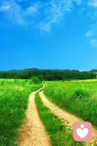 走自己的路，看自己的风景，这就是人生。早安。配图