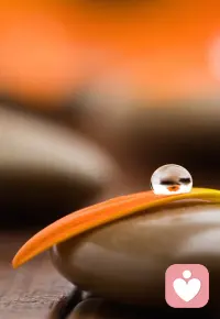 生活需要热情 更需要自律积极和勤奋 否则生活只是日历上的天数 早安配图