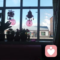 在你心浮气躁的时候，一定要平静一下心情之后才做任何事情。阳光在边角处。配图