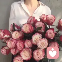 生活像一只蝴蝶，没有破茧的勇气，哪来飞舞的美丽，生活像一只蜂，没有勤劳和努力，怎能尝到花粉的甜蜜，越努力越幸运！早安！
