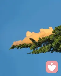 世界这么大 / 能遇见 / 不容易