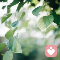 去让自己变得更棒，这是你任何时候都不能忽略的事。早安。配图