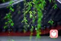 当我四十岁的时候，身体健康，略有积蓄，已婚，丈夫体贴，孩子听话，有一份真正喜欢的工作，这就是成功，不必成名，也不必发财。 ​配图