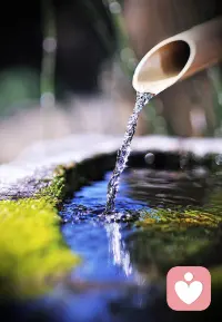 人生处处风景，生活处处诗意，何必总留恋那些消逝的记忆，既然逝去说明彼此无缘走完结局，只不过擦肩而过邂逅一段美丽的机遇，把美好珍存留档，把痛苦哀伤剔除摒弃，只做最好的自己。早安。