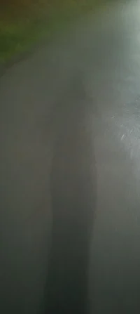 嘴巴是舒服了，腿老遭罪了，路燈下蒙蒙細雨里的6公里回來發現越跑越舒服，果然跳出舒適區會發現又一個驚喜??配圖