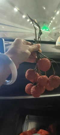 皮薄肉厚籽小，很nice的一個品種，高速上看??有荔枝樹就下高速買的人大概只有我了吧，行動力杠杠的