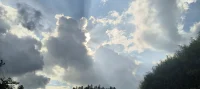 我能毫無保留的給出我的真誠，這絕非意味著它的廉價，更不代表我的愚笨，相反，這代表了我本身就很好；真誠如果開不了花，我會自動地豎起別離的墻，我會帶著這份真誠繼續前行，去尋找那些能與我真誠以待的人，因為我知道，真誠的力量是無窮無盡的，它終會吸引到那些同樣溫暖的靈魂！