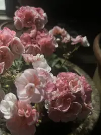 总有一段难熬的日子，让你自我怀疑。不过当你再经历多一点，会发现，那只是生活的常态，加油哦陌生人！
