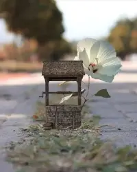 真诚是张不能单出的牌，配合其他才是王牌