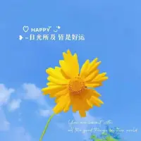 某些旅程，必须独自前行，才能发现真实的内心。
人群中的我们，常常戴着各种面具。
只有在独行的路上，才敢卸下伪装，与真实的自己对话。
那些最重要的领悟，往往发生在无人见证的时刻——星空下的独自沉思，空无一人的房间里突然涌出的泪水，或是清晨醒来时刹那间的顿悟。
独行，是给灵魂的一场朝圣。
不必惧怕，路途虽孤独，但终点是与真我的重逢。