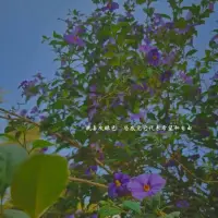 生活在我的烏托邦配圖
