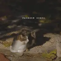 生活在我的烏托邦配圖