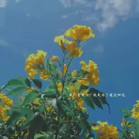生活在我的烏托邦配圖