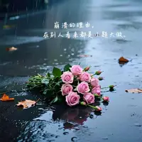 總有人說我變了，
卻沒人問我經歷了什么，
生活就是這樣，
別人看的是結果，
而自己撐的是整個過程。配圖
