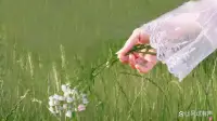 走累了就休息再走，心累了，就緩一緩，給心靈放個假，一輩子忙忙碌碌，不到最后何時休？
過去的已經過去，再怎么后悔也于事無補，未來路遠空擔憂，不要憂思擾心頭，風吹發絲拂衣袖，山高路遠不言愁，活在當下無煩憂。配圖