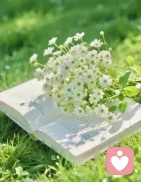 1. 再好的同事關系，利益面前也脆弱。
2. 告訴你秘密，多半想套你話。
3. 總招工的公司，待遇一般不好。
4. 實力和能力，要留點底牌。
5. 熟人前哭窮，陌生人前炫富。
6. 不主動聯系你的人，是因為他覺得你對他沒價值。
7. 快速接近你的人，也會快速離開。
8. 社會不公平正常，憤怒是因為你不是受益者。配圖